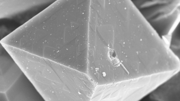 Ученые придумали, как использовать поглотитель вредных веществ в разных областях Ученые придумали, как использовать поглотитель вредных веществ в разных областях