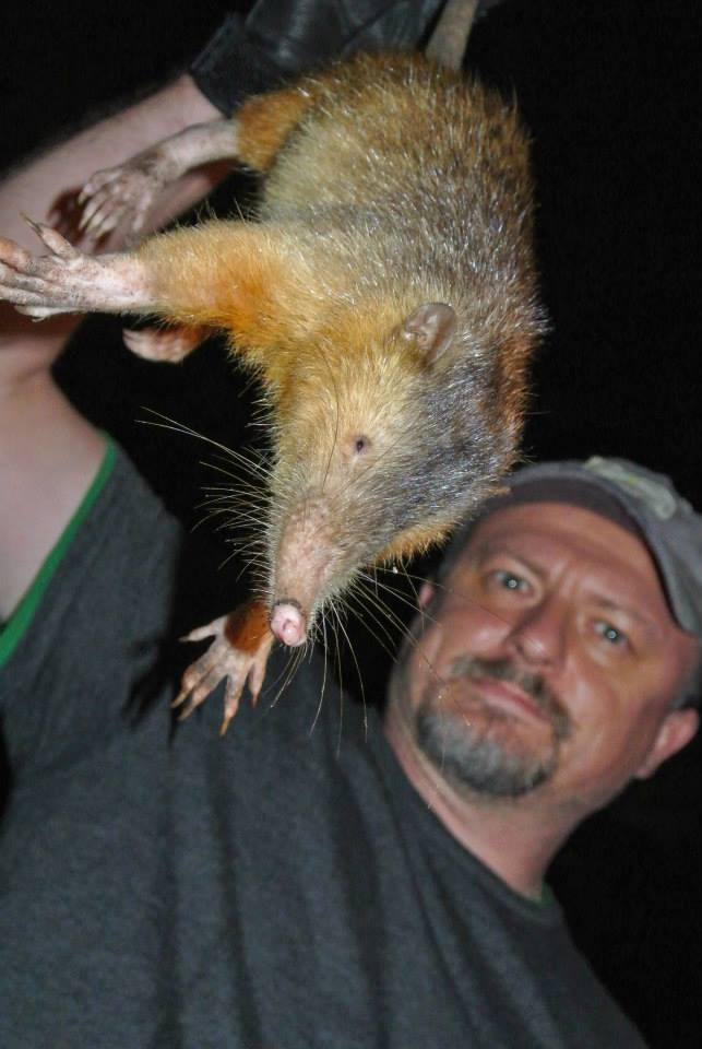 Генетики из России раскрыли тайну рождения уникального ядовитого "крота"