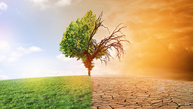 Ученые спрогнозировали сроки наступления "смертоносной жары" в США