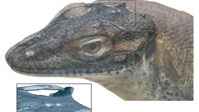 Ученые нашли в США останки четырехглазого доисторического варана