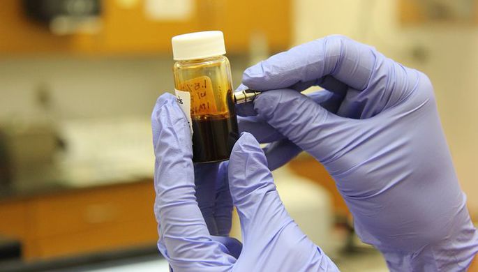 Ученые улучшили работу мозга с помощью пересадки кала