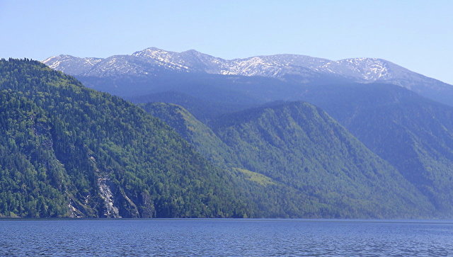 ОНФ просит Генпрокуратуру и МВД помочь спасти бор возле Телецкого озера