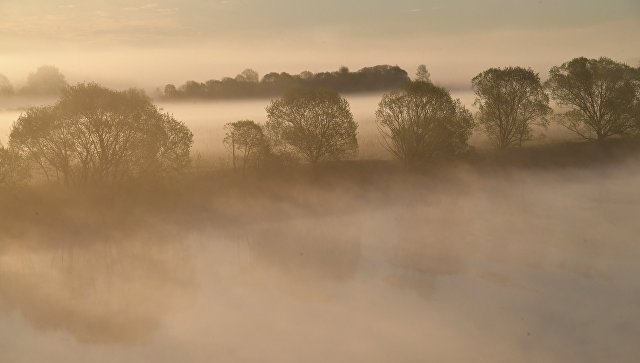 МЧС предупредило о заморозках в ряде регионов ЦФО