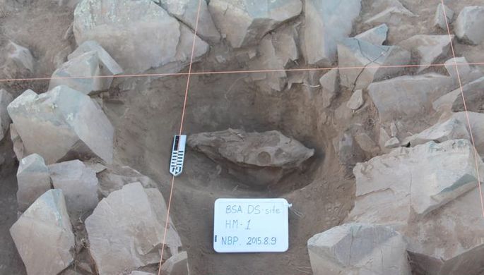 Археологи: монголы вырывали лошадям зубы 3000 лет назад