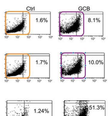 Ученые: 35 000 медицинских статей надо отозвать из-за фейковых картинок
