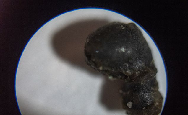 Ученые впервые подняли метеорит со дна океана