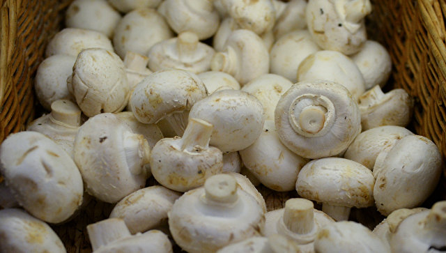 Россельхознадзор начал проверку белорусских производителей шампиньонов