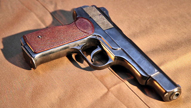 В СФ не возражают против увеличения числа единиц оружия на руках у россиян