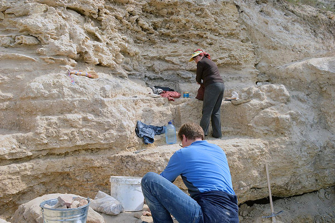 В Египте нашли самый крупный неповрежденный саркофаг