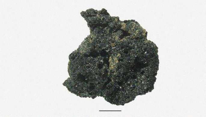 В Иордании найден самый древний в мире хлеб