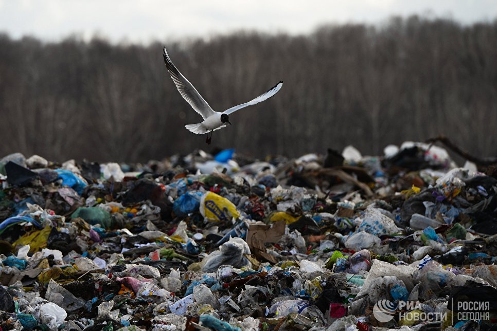 Судьба просрочки. Как в торговле избавляются от некондиционных продуктов