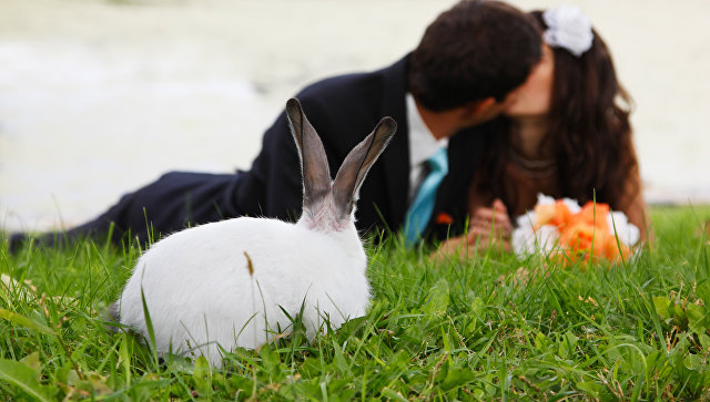 Опрос показал, какой способ поиска "половинки" россияне считают лучшим