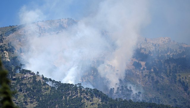 В Крыму локализовали крупный пожар
