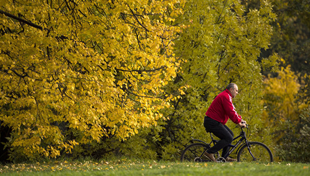 Синоптики рассказали, когда в Москву может прийти третья волна бабьего лета