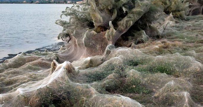 Побережье греческого острова Айтолико окутала паутина