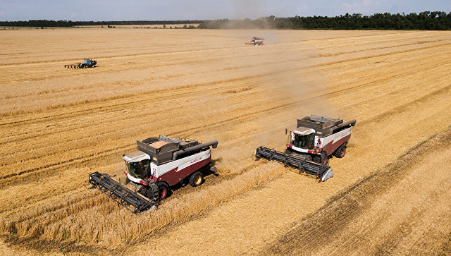 В России продлят программу развития села