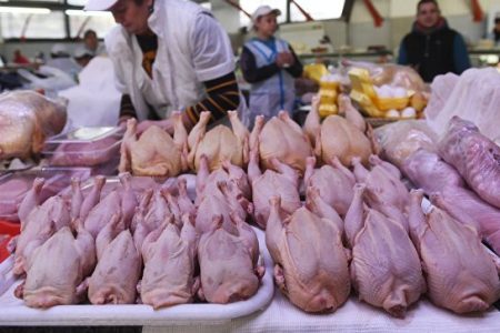 Опасная птица. Россельхознадзор нашел в курятине бактерии и антибиотики