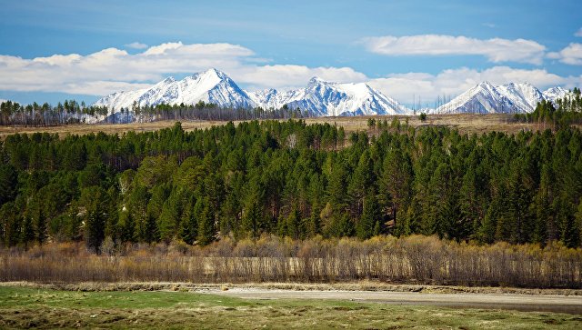 Дальневосточный гектар ускорит развитие Бурятии, считает Цыденов