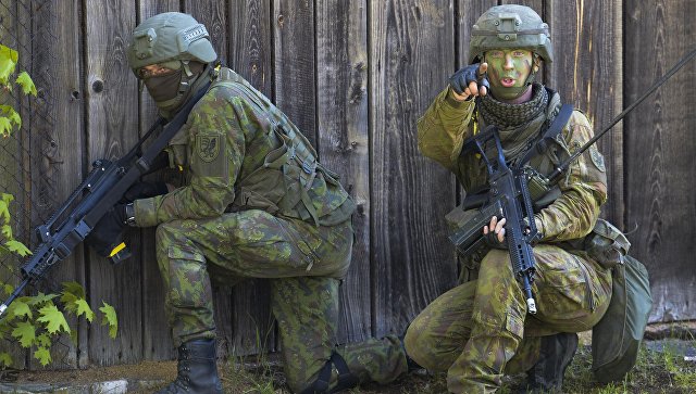 В Эстонии прокомментировали идею создания европейской армии