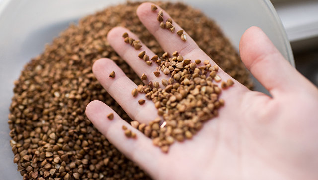 В Литве разозлились на рост импорта гречки из "враждебной" России