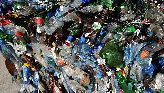 Саратовский чиновник, "ликвидировавший" свалку фотошопом, лишился работы