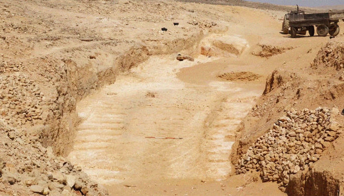 В Египте обнаружили редкую коллекцию мумифицированных кошек