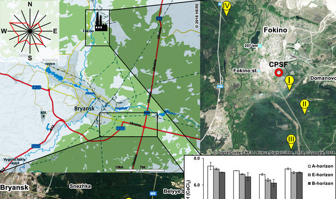 Российские ученые выяснили, как выбросы цементного завода влияют на почву и растения