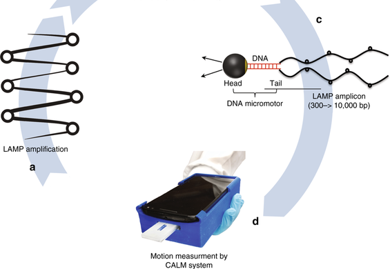 Ученые придумали, как использовать мобильники для диагностики ВИЧ