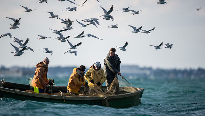 Создан банк данных обитателей дальневосточных морей