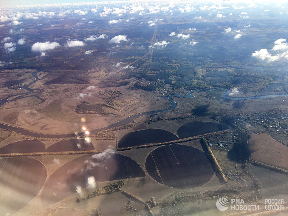 Картофель фри стал российским