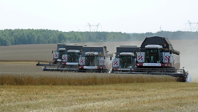 Минсельхоз разработал проект стратегии развития зернового комплекса