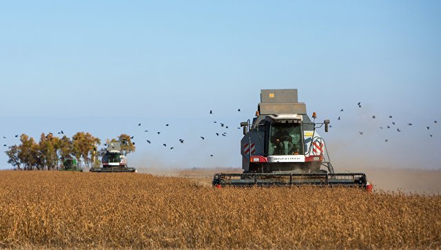 Эхо войны: Трамп заставил американских фермеров уничтожать урожай