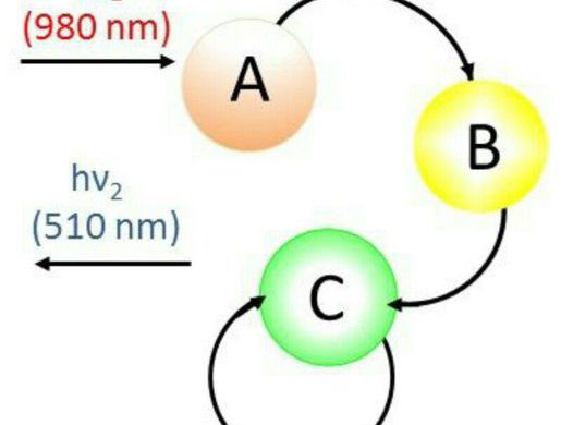 Открываемые светом наноконтейнеры позволили управлять свечением бактерий
