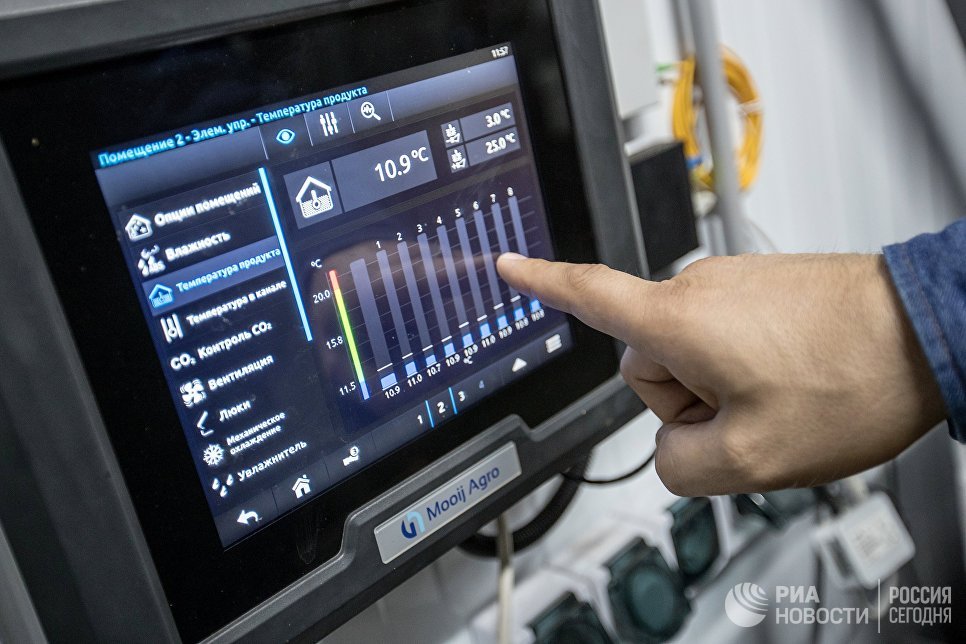 Картофель фри стал российским