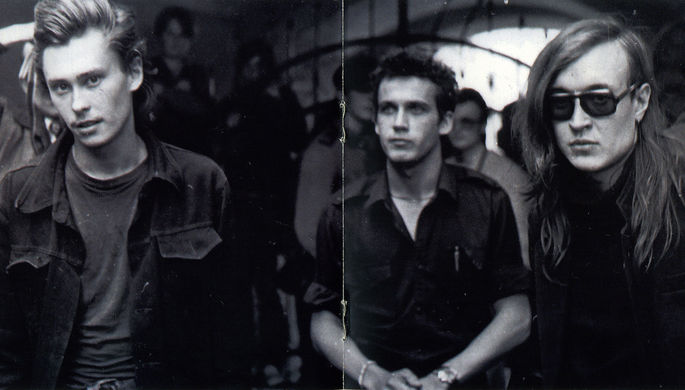 Ученые назвали новый вид жуков в честь Егора Летова