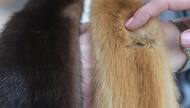 Роспотребнадзор рассказал, что нужно знать при покупке меховых изделий