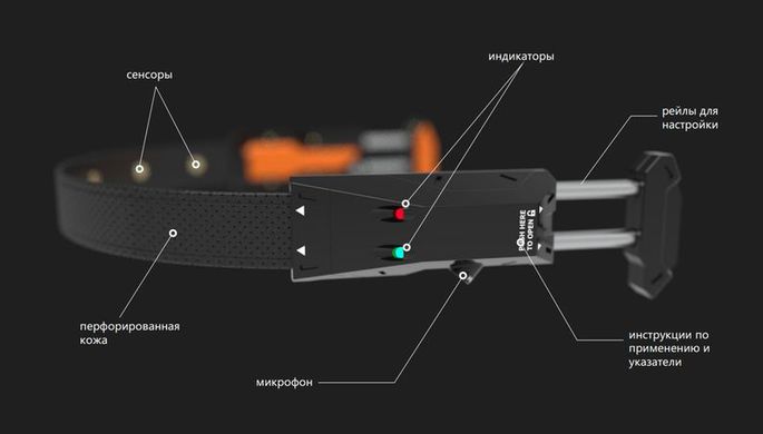 Ученые придумали, как диагностировать психические расстройства по речи