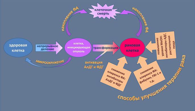 Обнаружена способность моноклональных антител убивать раковую клетку