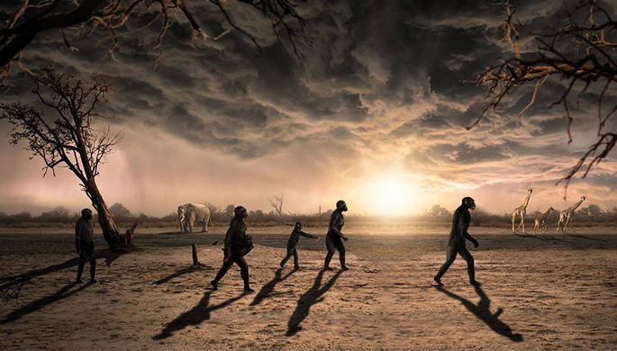 Антропологи: мозг предков человека вырос благодаря жиру