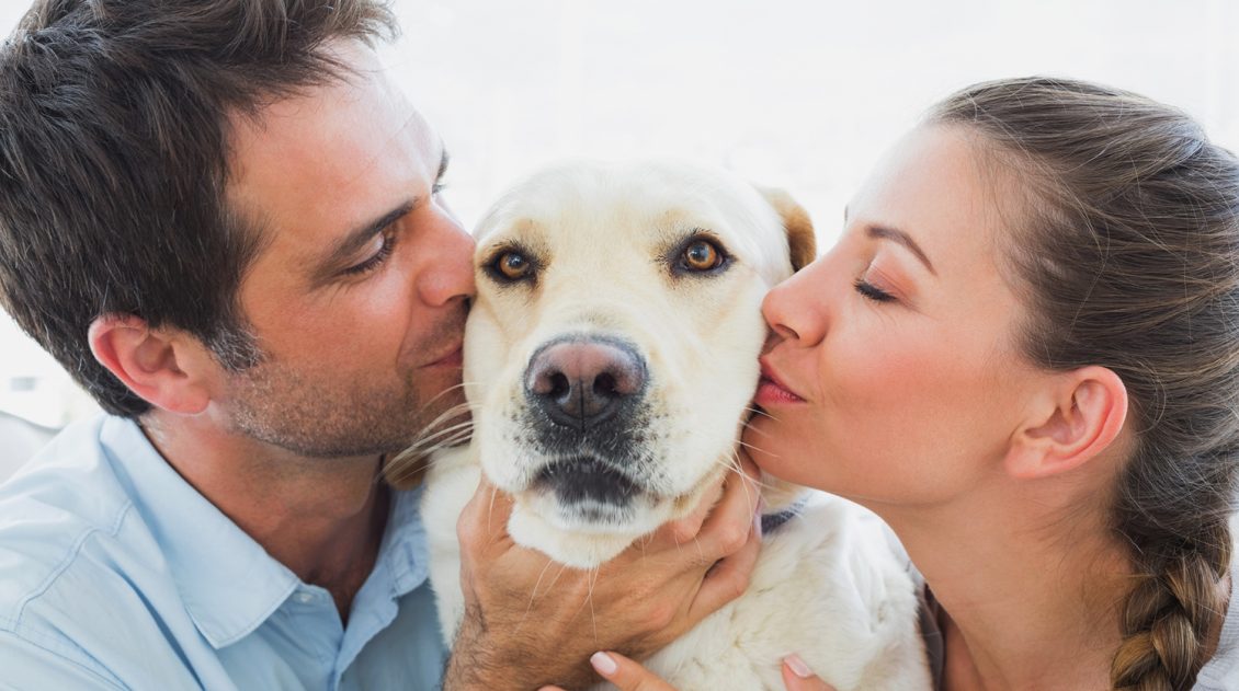 Ученые узнали, как собаки научились манипулировать людьми