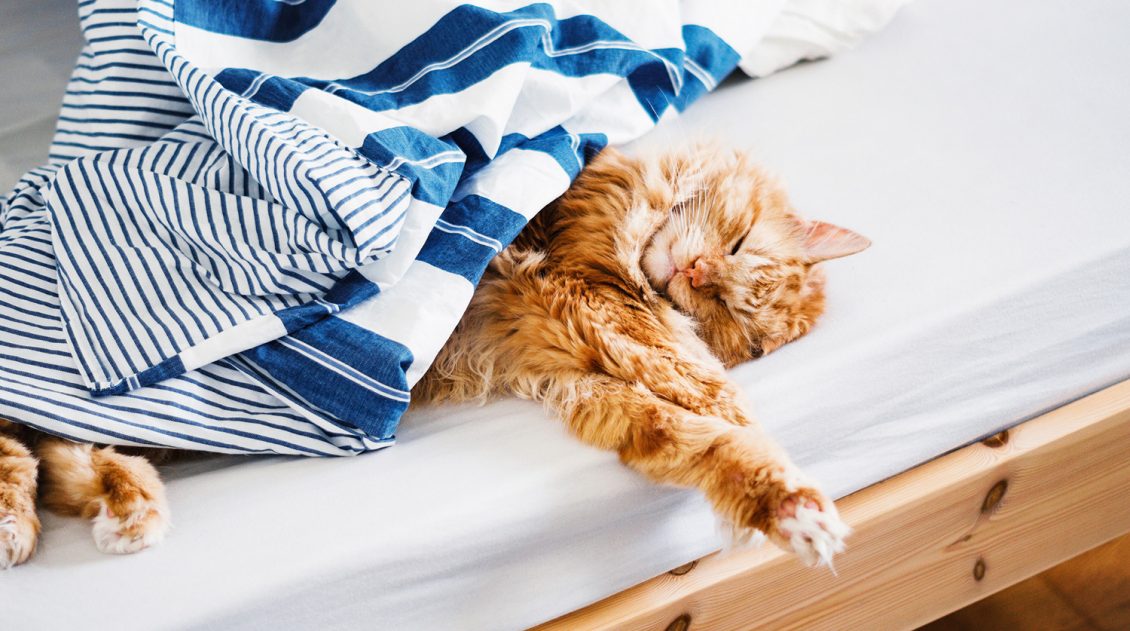 Определено необходимое для красоты и здоровья количество сна