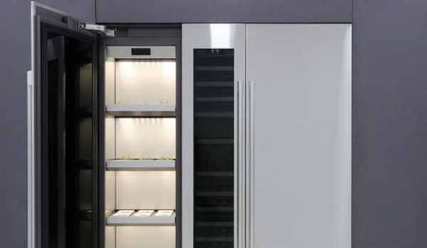 LG представила умный шкаф для выращивания овощей прямо на кухне