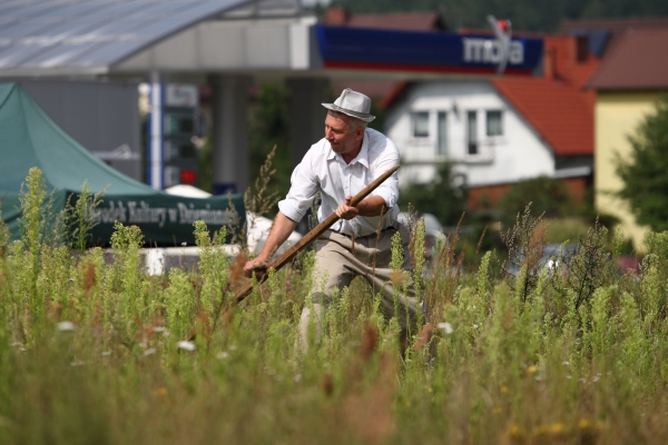 «Может содержать запрещённые пестициды»: в ЕС испугались украинского зерна «Может содержать запрещённые пестициды»: в ЕС испугались украинского зерна