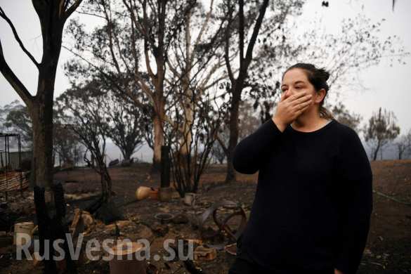 Чудовищные пожары: дым виден из космоса, миллиард животных погиб в Австралии (ФОТО, ВИДЕО)