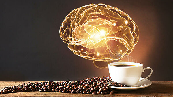 Ешь и умней. Какая пища нравится мозгу и от какой он страдает