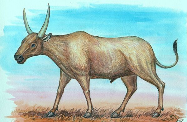 Ученые выяснили, каким животным принадлежат кости в пещере Таврида