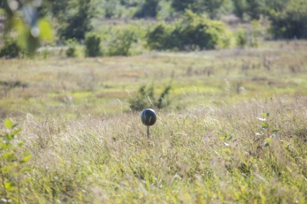 Никогда не бегай от снайпера&hellip;