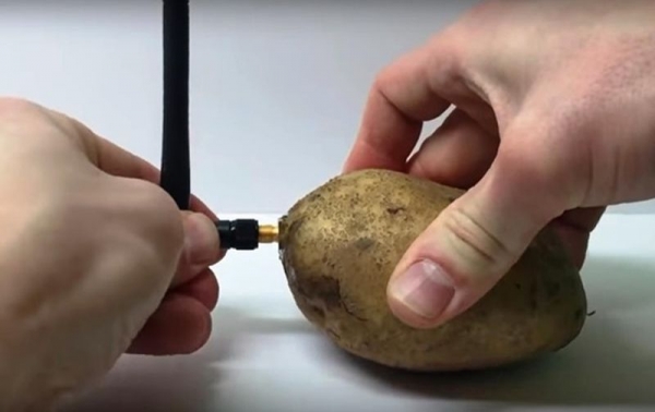 Представлено необычное устройство для &laquo;общения&raquo; с картофелем