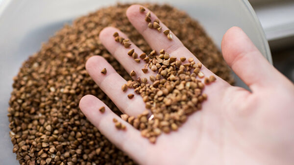 Эксперты: гречка в России за год подорожала почти на 50%