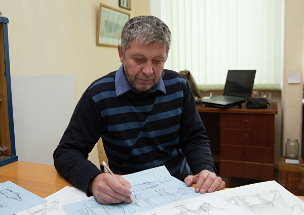 Ученые выяснили, каким животным принадлежат кости в пещере Таврида